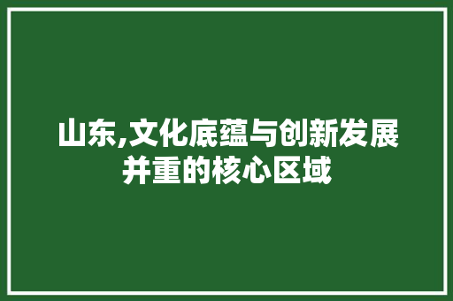山东,文化底蕴与创新发展并重的核心区域