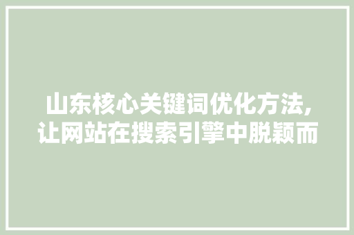 山东核心关键词优化方法,让网站在搜索引擎中脱颖而出