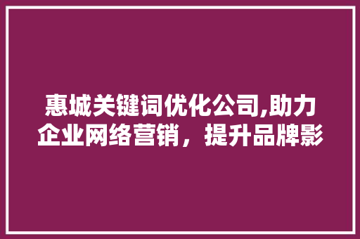 惠城关键词优化公司,助力企业网络营销，提升品牌影响力 Web前端