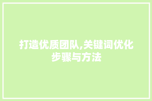 打造优质团队,关键词优化步骤与方法
