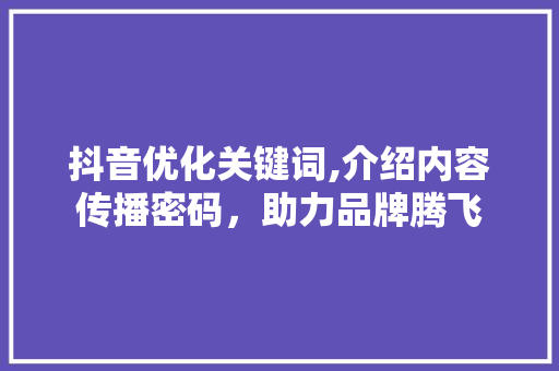 抖音优化关键词,介绍内容传播密码，助力品牌腾飞