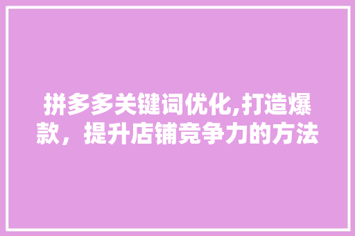 拼多多关键词优化,打造爆款，提升店铺竞争力的方法