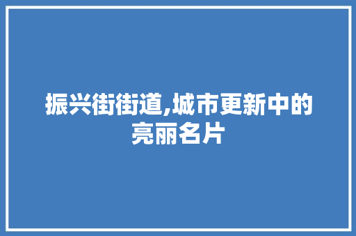 振兴街街道,城市更新中的亮丽名片