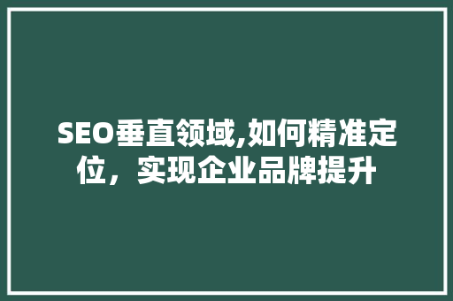 SEO垂直领域,如何精准定位，实现企业品牌提升