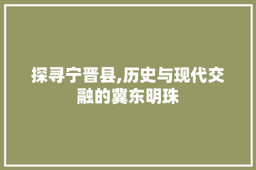 探寻宁晋县,历史与现代交融的冀东明珠