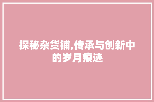 探秘杂货铺,传承与创新中的岁月痕迹