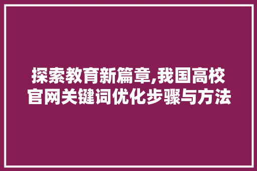 探索教育新篇章,我国高校官网关键词优化步骤与方法