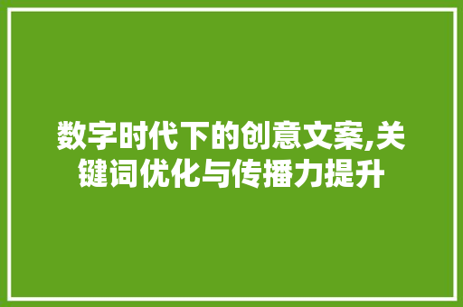 数字时代下的创意文案,关键词优化与传播力提升