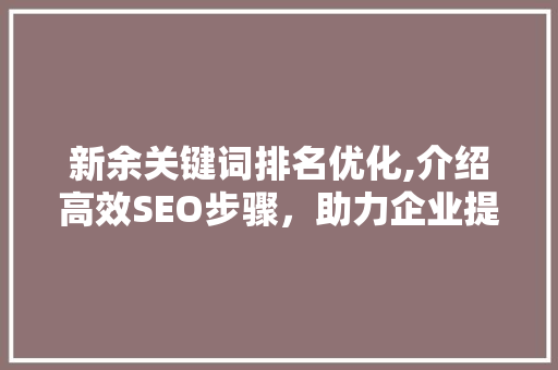 新余关键词排名优化,介绍高效SEO步骤，助力企业提升网络影响力