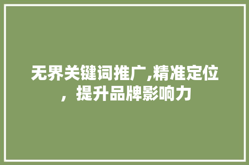 无界关键词推广,精准定位，提升品牌影响力