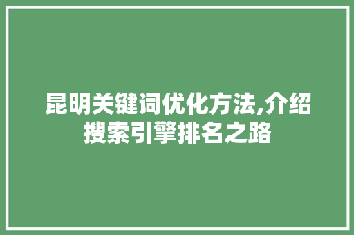 昆明关键词优化方法,介绍搜索引擎排名之路