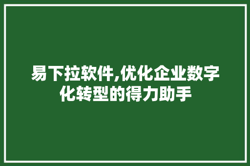 易下拉软件,优化企业数字化转型的得力助手