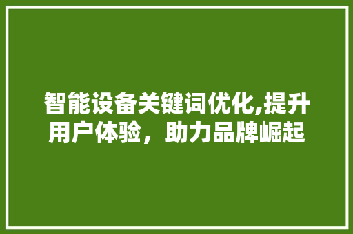 智能设备关键词优化,提升用户体验，助力品牌崛起
