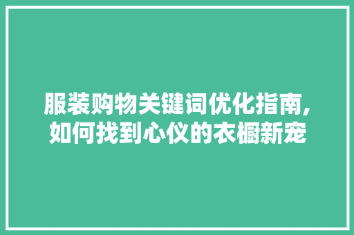 服装购物关键词优化指南,如何找到心仪的衣橱新宠