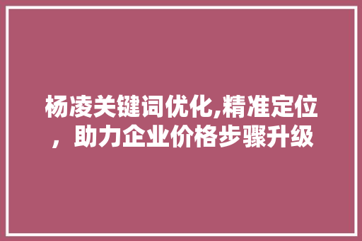 杨凌关键词优化,精准定位，助力企业价格步骤升级