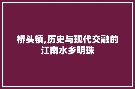 桥头镇,历史与现代交融的江南水乡明珠