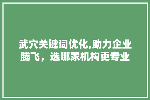 武穴关键词优化,助力企业腾飞，选哪家机构更专业