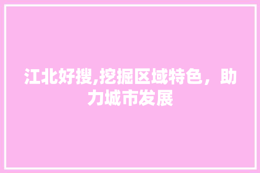 江北好搜,挖掘区域特色，助力城市发展