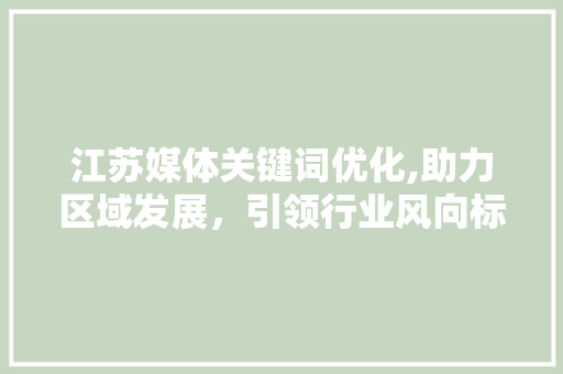 江苏媒体关键词优化,助力区域发展，引领行业风向标