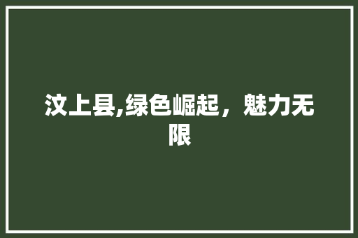 汶上县,绿色崛起，魅力无限