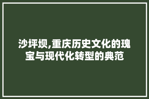 沙坪坝,重庆历史文化的瑰宝与现代化转型的典范