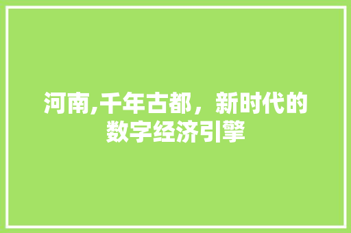 河南,千年古都，新时代的数字经济引擎