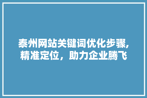 泰州网站关键词优化步骤,精准定位，助力企业腾飞