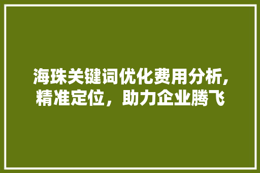 海珠关键词优化费用分析,精准定位，助力企业腾飞