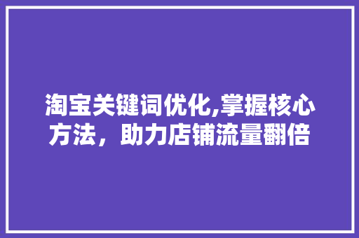 淘宝关键词优化,掌握核心方法，助力店铺流量翻倍