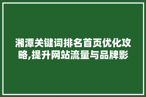 湘潭关键词排名首页优化攻略,提升网站流量与品牌影响力的方法