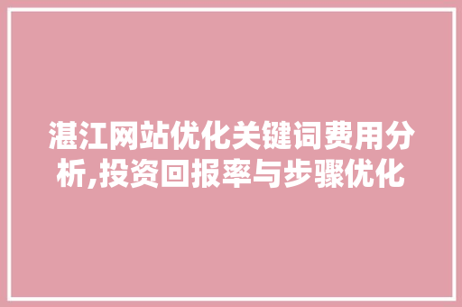 湛江网站优化关键词费用分析,投资回报率与步骤优化