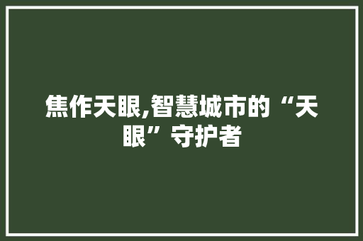 焦作天眼,智慧城市的“天眼”守护者
