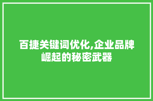 百捷关键词优化,企业品牌崛起的秘密武器 SEO教程