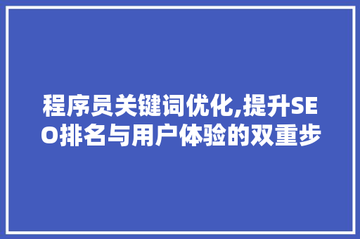 程序员关键词优化,提升SEO排名与用户体验的双重步骤