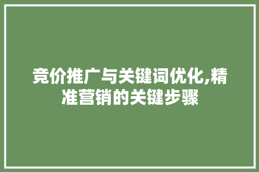 竞价推广与关键词优化,精准营销的关键步骤