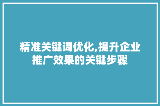 精准关键词优化,提升企业推广效果的关键步骤