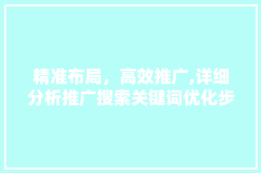 精准布局，高效推广,详细分析推广搜索关键词优化步骤