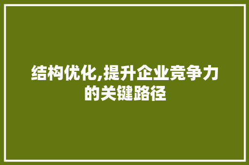 结构优化,提升企业竞争力的关键路径