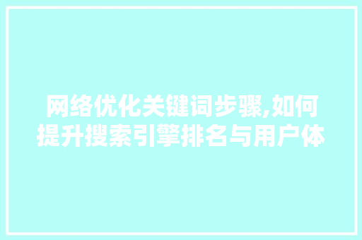 网络优化关键词步骤,如何提升搜索引擎排名与用户体验