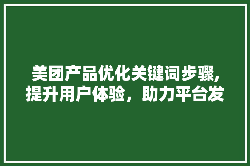 美团产品优化关键词步骤,提升用户体验，助力平台发展
