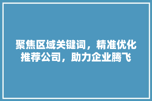 聚焦区域关键词，精准优化推荐公司，助力企业腾飞