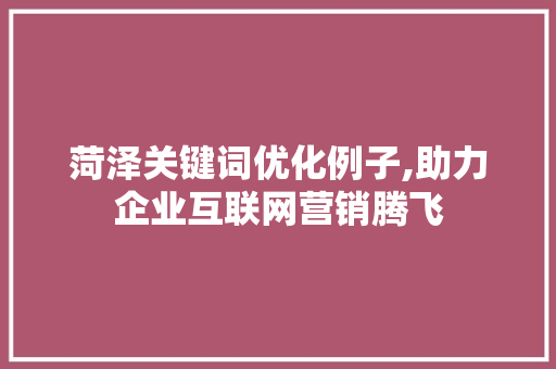 菏泽关键词优化例子,助力企业互联网营销腾飞