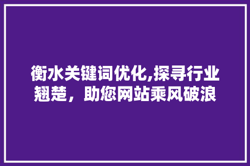衡水关键词优化,探寻行业翘楚，助您网站乘风破浪