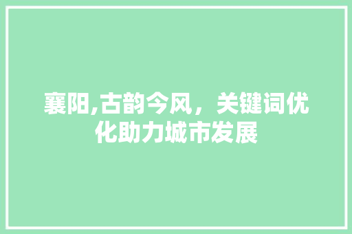 襄阳,古韵今风，关键词优化助力城市发展