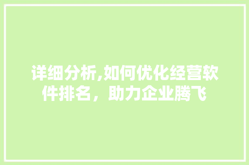 详细分析,如何优化经营软件排名，助力企业腾飞