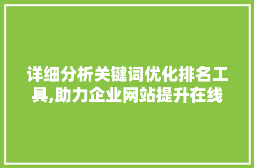 详细分析关键词优化排名工具,助力企业网站提升在线曝光率