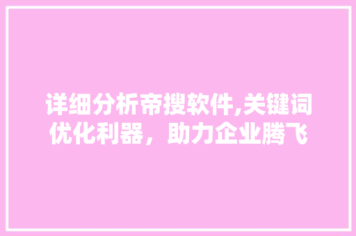 详细分析帝搜软件,关键词优化利器，助力企业腾飞