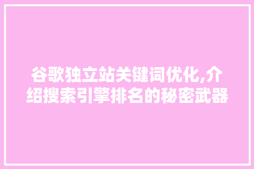 谷歌独立站关键词优化,介绍搜索引擎排名的秘密武器