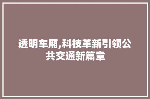 透明车厢,科技革新引领公共交通新篇章