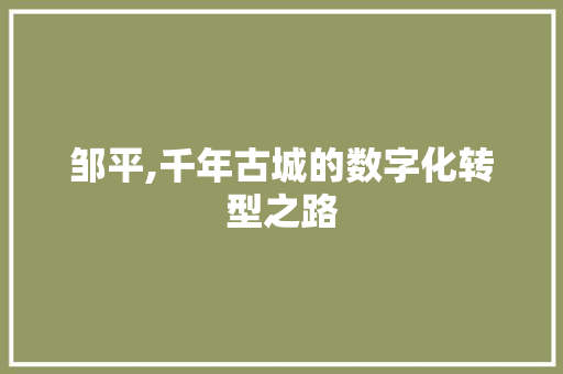 邹平,千年古城的数字化转型之路